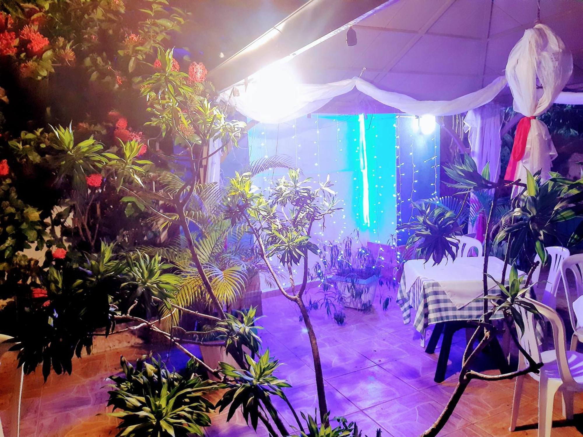 Hotel El Tronco Inc Boca Chica Ngoại thất bức ảnh